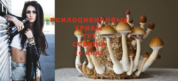 дмт Краснослободск