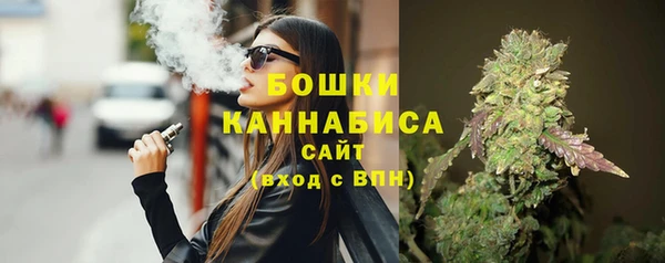 дмт Краснослободск