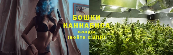 дмт Краснослободск