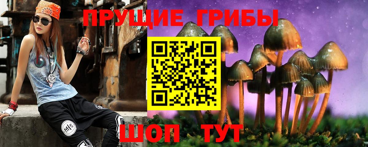 Галлюциногенные грибы GOLDEN TEACHER  Вход с VPN  Октябрьский 