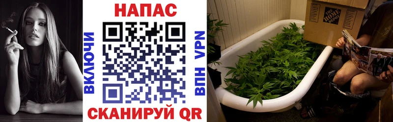 Бошки марихуана MAZAR  mega ССЫЛКА  Октябрьский 
